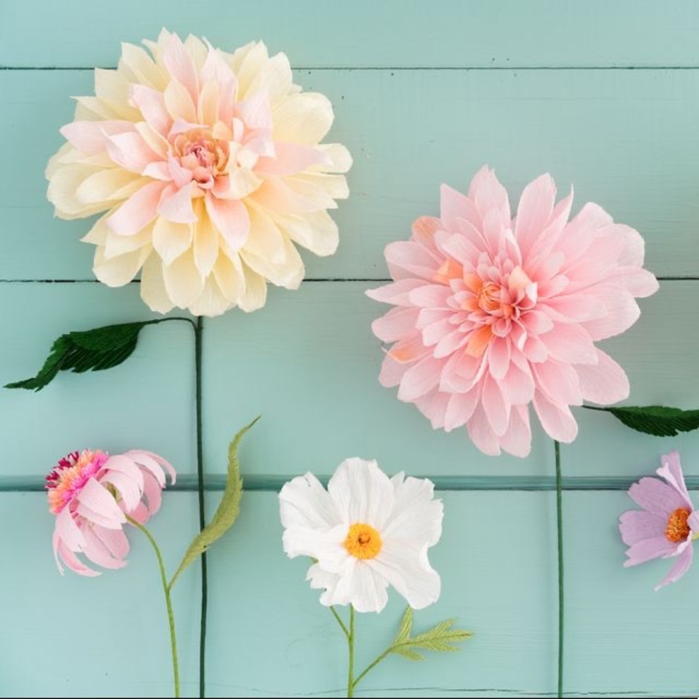 Meet your Posher, Doris